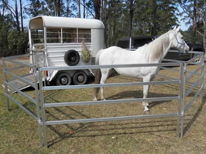 Four rail pipe cattle corral fences are formed a temporary pen and a horse in it.