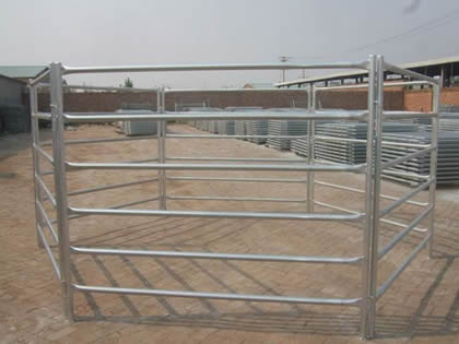 Several round rail pipe cattle corral fence is form a pen.