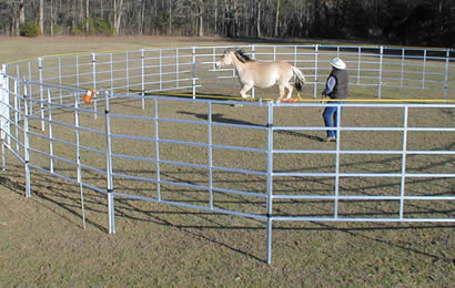A horse is in the portable aluminum round pen 