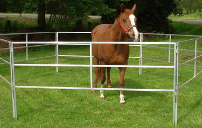 6 square pipe corral panels are co<em></em>nnected to enclose a horse on grassland
