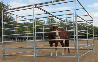 Galvanized round-pipe horse panels enclose a horse