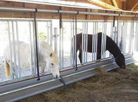 horse travel panels