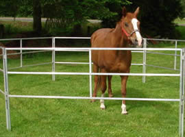 horse travel panels